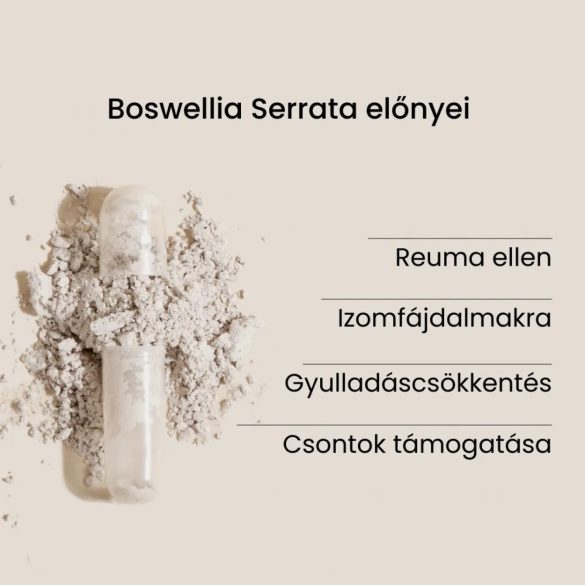 Boswellia Serrata - kivonat kapszula - 60 db - egészséges ízületek természetesen, idegfájdalmak nélkül 